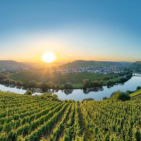 Holiday Home In The Eifel-Mosel With Garden Roes エクステリア 写真