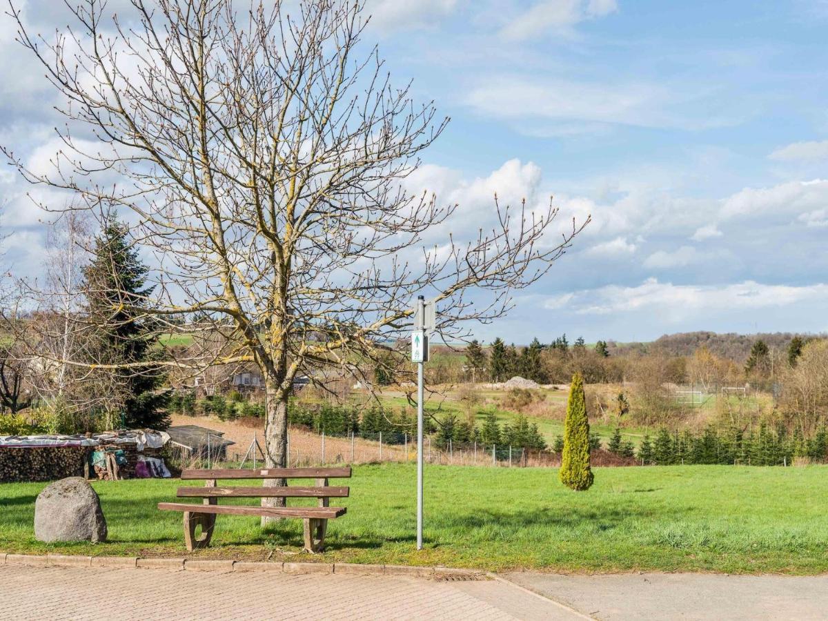 Holiday Home In The Eifel-Mosel With Garden Roes エクステリア 写真