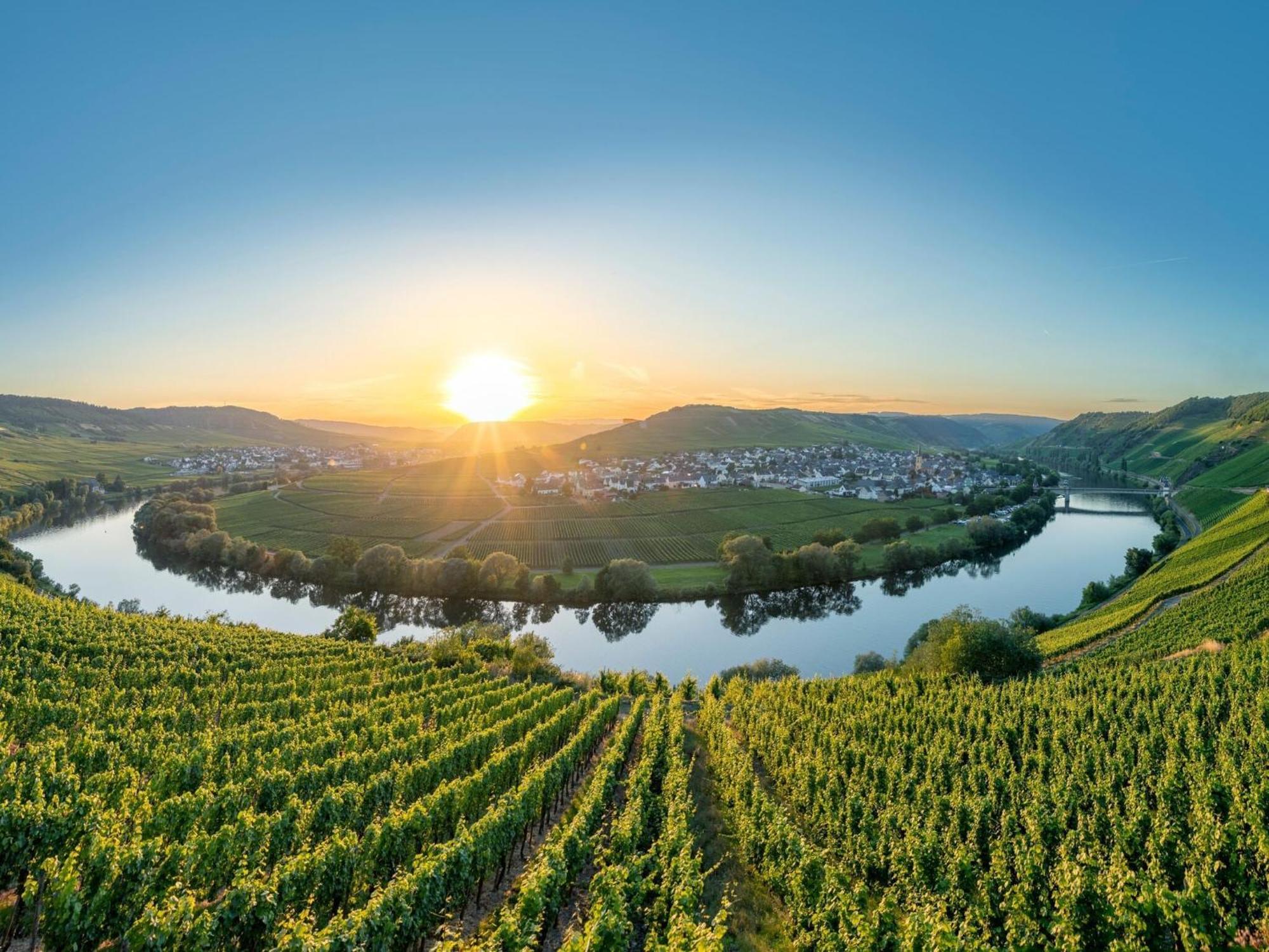 Holiday Home In The Eifel-Mosel With Garden Roes エクステリア 写真